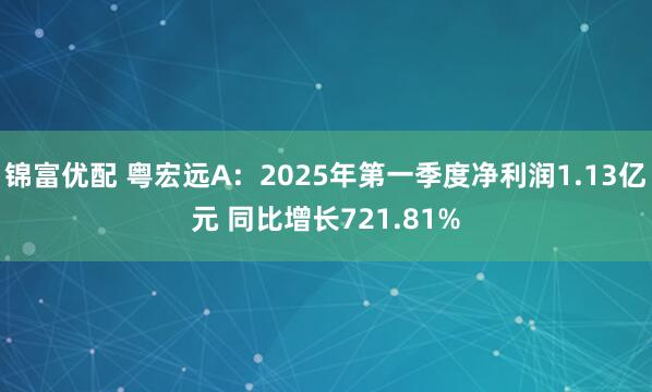 锦富优配 粤宏远A：2025年第一季度净利润1.13亿元 同比增长721.81%