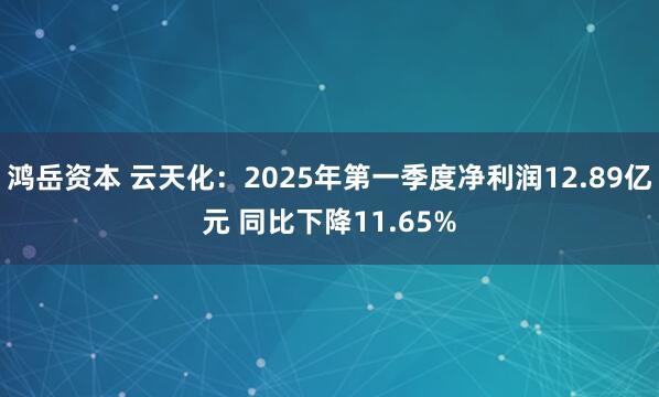 鸿岳资本 云天化：2025年第一季度净利润12.89亿元 同比下降11.65%