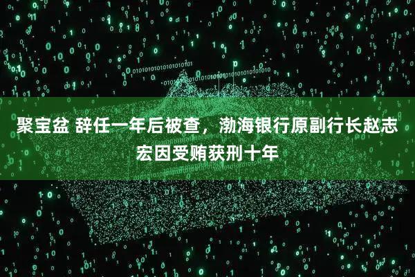 聚宝盆 辞任一年后被查，渤海银行原副行长赵志宏因受贿获刑十年