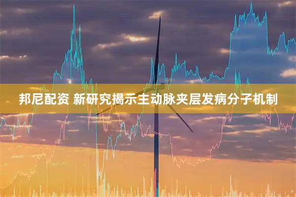 邦尼配资 新研究揭示主动脉夹层发病分子机制