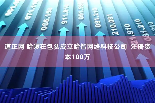 道正网 哈啰在包头成立哈智网络科技公司  注册资本100万