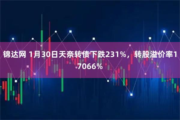 锦达网 1月30日天奈转债下跌231%，转股溢价率17066%