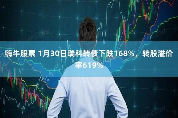 嗨牛股票 1月30日瑞科转债下跌168%，转股溢价率619%