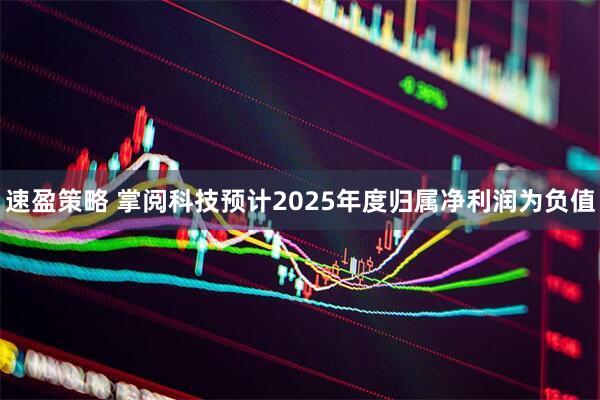 速盈策略 掌阅科技预计2025年度归属净利润为负值