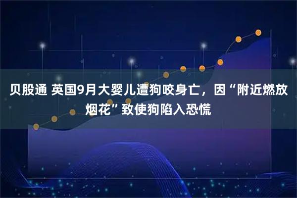 贝股通 英国9月大婴儿遭狗咬身亡，因“附近燃放烟花”致使狗陷入恐慌